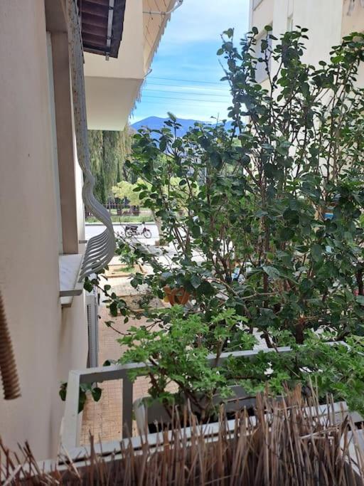 Δίπλα Στο Πάρκο Apartment กาลามาตา ภายนอก รูปภาพ